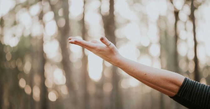 Osteopathic Manipulation