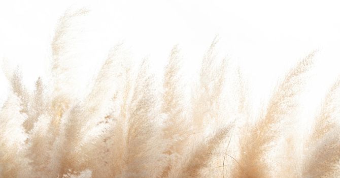 Osteopathic Manipulation