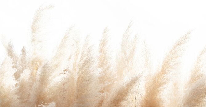 Nutritional Supplements